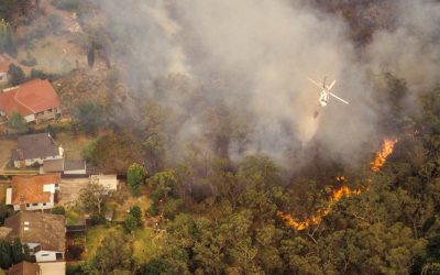 Wildfire Safety Tips