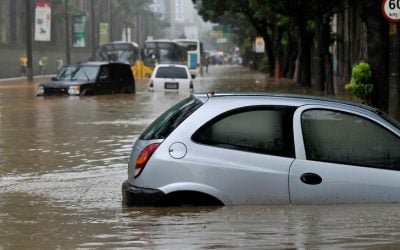 Avoid Buying Flood Damaged Autos